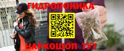 сатива Ирбит