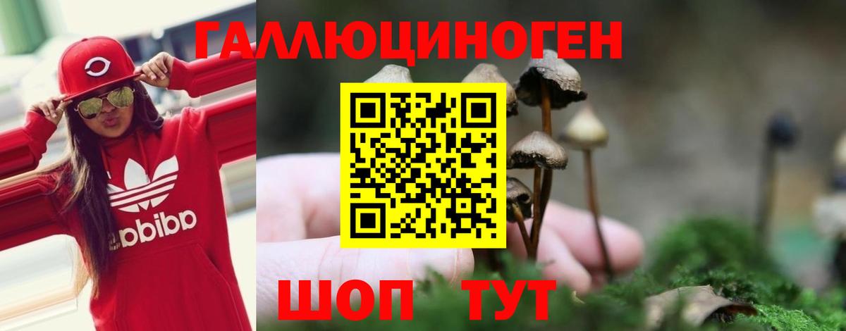 Лянтор  Псилоцибиновые грибы Cubensis  Вход с VPN  Галлюциногенные грибы ЛСД 